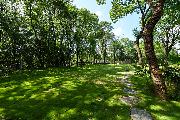 The green space in the city park