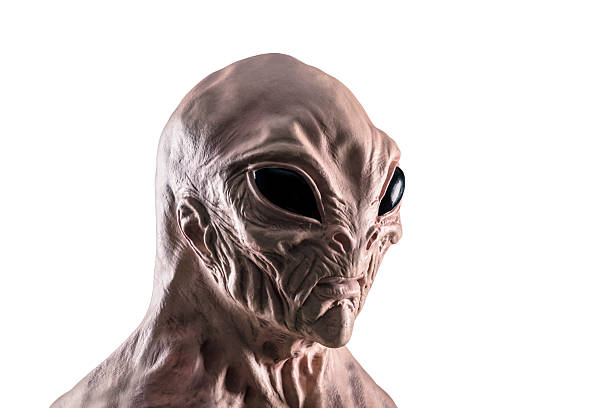 istock Humanoid alien head isolated on white background with clipping path 2236274207
