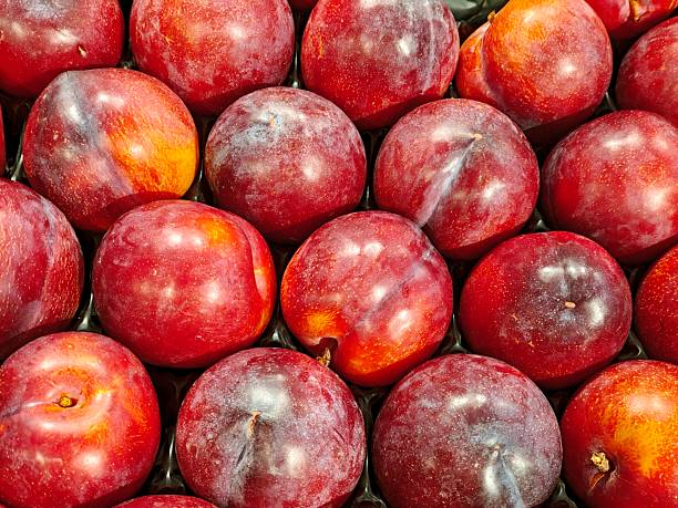 istock red plums with fiber to improve digestion 2236276031
