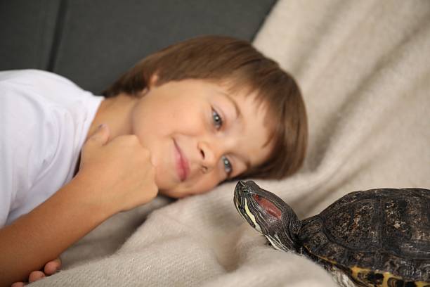 Little boy and cute turtle on sofa, closeup. Domestic pet
