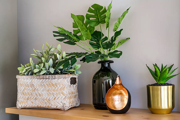 istock Succulent plants in small pots for home decoration 2236277008