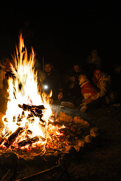 istock Rest with friends and a dog near the fire 2236279689
