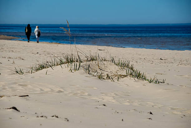 Day at the Sea. 
