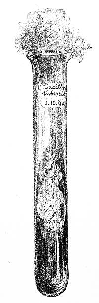 Antique magazine image: Bacterial Biology Microscope Image, Tube Culture