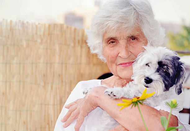 Smiling senior woman hugging  her white havanese dog