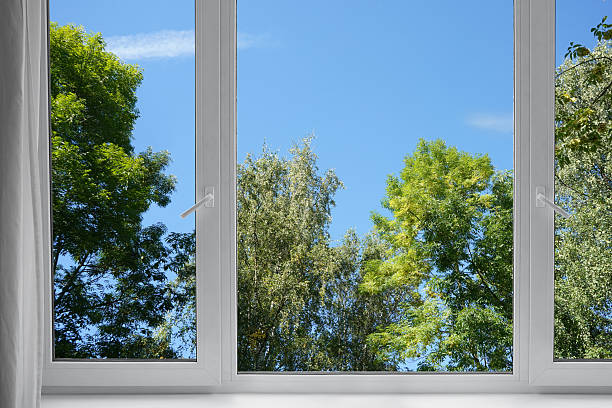 istock View from the window on the garden green trees. 2236286043