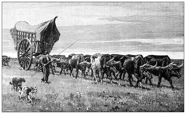 Antique magazine image: Argentina, Prairie Schooner
