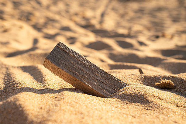 Close-up of a piece of weathered driftwood lodged diagonally in golden beach sand, captured in soft late afternoon sunlight. The dry texture of the wood contrasts with the smooth, glistening grains of sand surrounding it. Shadows and ridges in the sand create subtle patterns, evoking a quiet, minimalistic coastal atmosphere. The image focuses on natural textures and simplicity, ideal for themes of solitude, nature, and time-worn beauty.