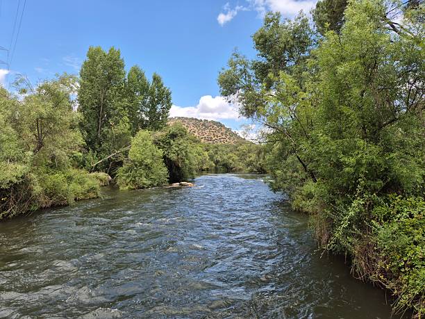 istock Sierra Morena Natural Park, Andujar, Spain – 2025 2236287652