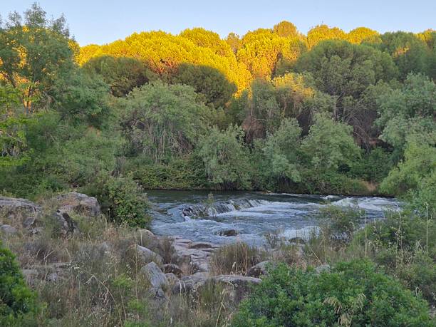 istock Sierra Morena Natural Park, Andujar, Spain – 2025 2236288433