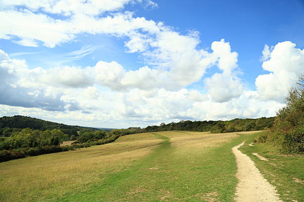 Surrey Hills English natural countryside public footpath Surrey England Europe