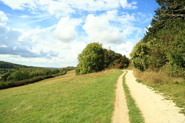 Surrey Hills English natural countryside public footpath Surrey England Europe
