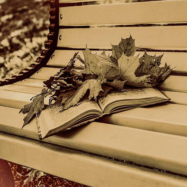 Still life with dry autumn maple leaves placed on an open book lying on a light wooden park bench. Warm vintage tones, nostalgic autumn atmosphere, outdoor scene, natural daylight.