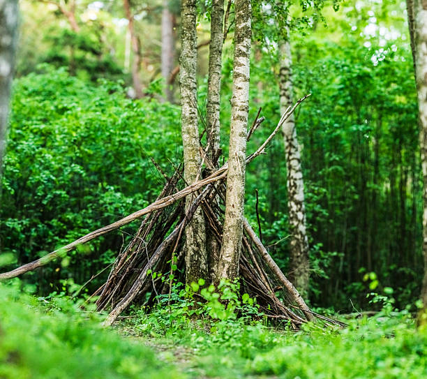 Wooden stick shelter built among forest trees.