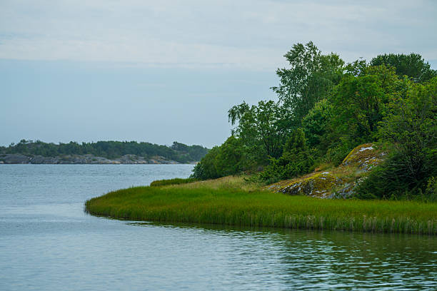 istock Curved shoreline with grass and dense forest.. 2236295971
