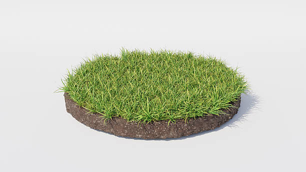 istock 3d Floating island round shape with grass and soil layers. Podium for environmental or ecological concepts, isolated product display mockup. 2236299691