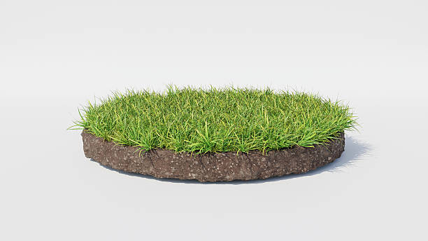 istock 3d Floating island round shape with grass and soil layers. Podium for environmental or ecological concepts, isolated product display mockup. 2236300148