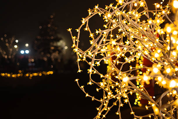 istock Glowing decorative tree branches with golden lights at Belgrade Christmas market, creating a magical festive mood. 2236303433