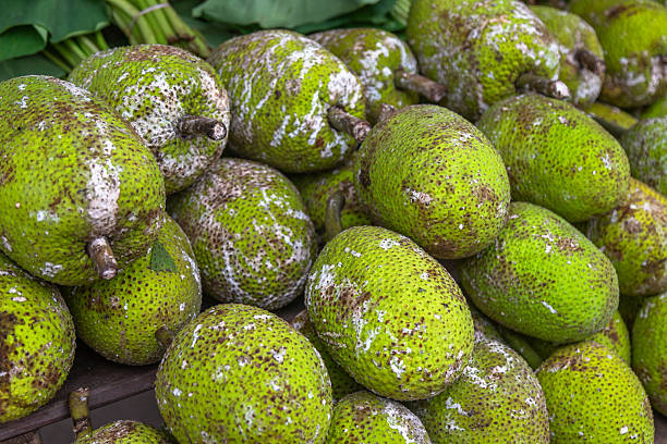 istock Fresh Breadfruit at Local Market in Fiji 2236304818