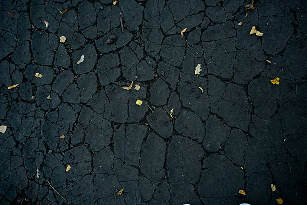 Close-up of cracked asphalt road surface with irregular patterns and scattered dry leaves, showing rough urban texture.