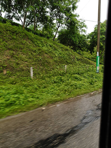 istock Sreemangal Tea Valley Sylhet, Bangladesh. 2236309855