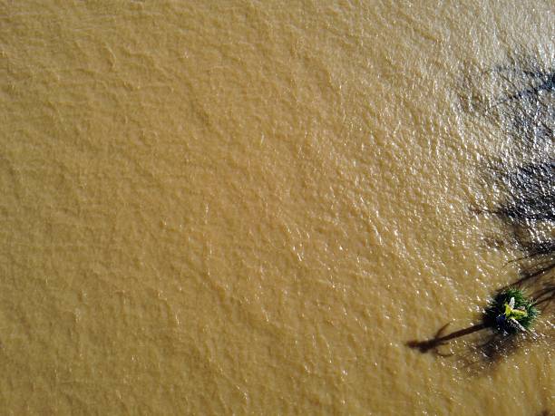 istock aerial view of a river with murky water 2236311010