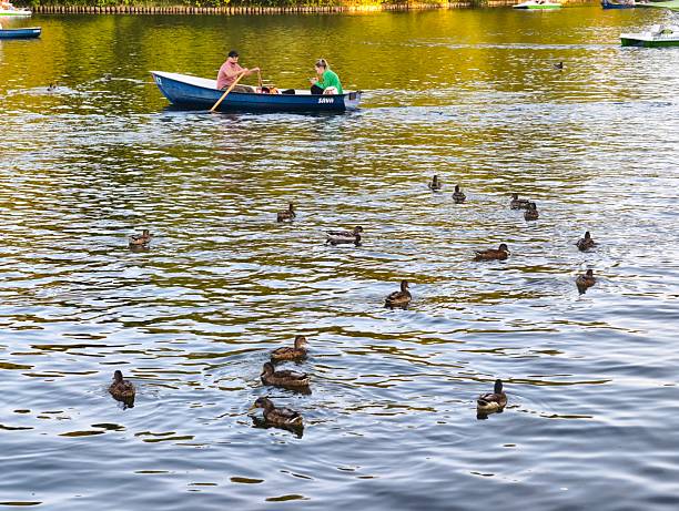 Moscow, Russia - September 07, 2025: This image captures a lively summer day at the pond in Izmaylovsky Park. Visitors enjoying paddle boats and rowboats