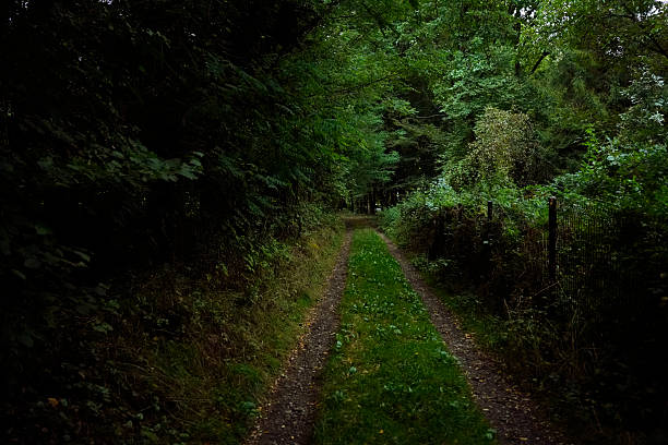 An old rusty fence stands along a narrow forest path surrounded by green trees and grass, creating a mysterious and atmospheric scene.