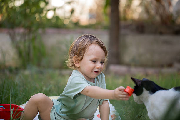 Little boy sits on blanket on green grass in park on summer day. Toddler plays with