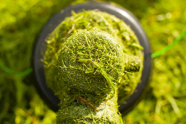 istock String Trimmer. Mowing the lawn. Lawn trimmer. Cut the Grass 2236314616