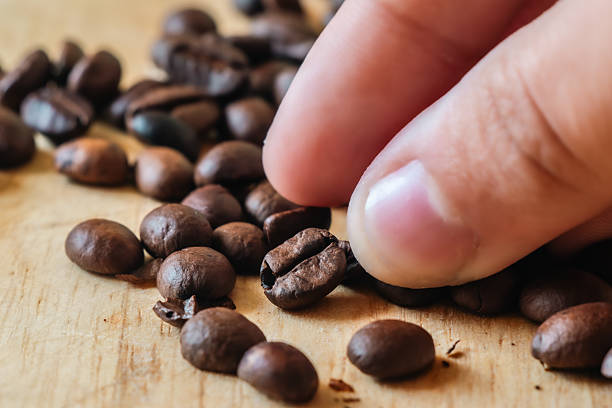 istock Close-up of Hand Picking Roasted Coffee. 2236314640