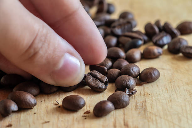 istock The Art of Selecting Coffee Beans. 2236315507