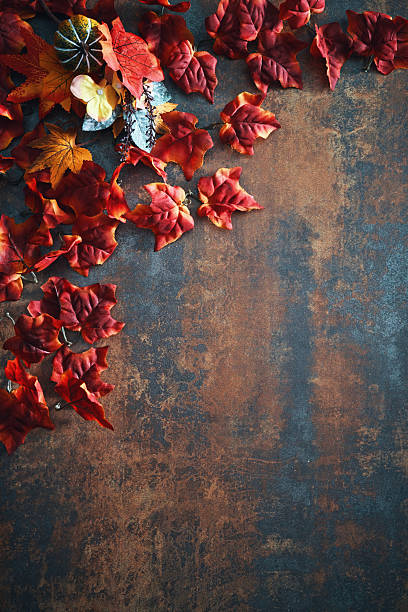 istock Autumn Decoration Background with Pumpkins, Leafs and Nuts 2236315956