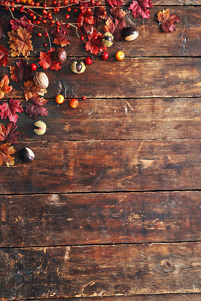 Autumn Decoration Background with Pumpkins, Leafs and Nuts
