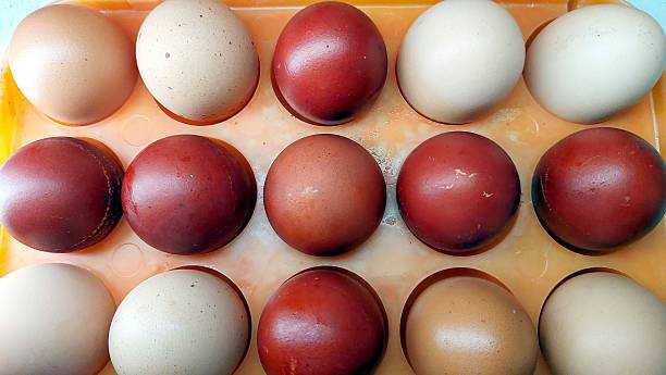 istock Colorful Easter eggs arranged neatly in a tray for the festive celebration activities 2236319527