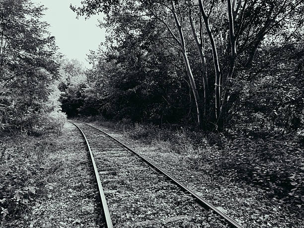 Black and white photograph of old railway tracks curving through a quiet forest. The monochrome tones emphasize a sense of nostalgia, solitude, and timeless travel, making it suitable for concepts of abandonment, history, or journey.