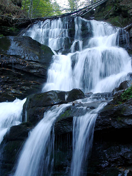 istock Waterfall with white streams of water. Green trees and trunks from above 2236320862