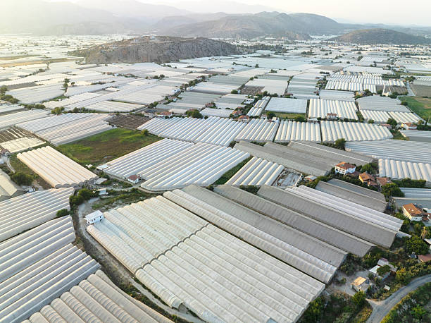 istock Aerial View of Greenhouse 2236333510