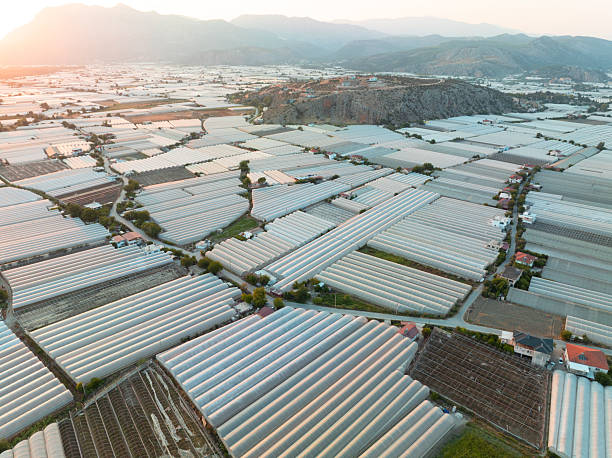 istock Aerial View of Greenhouse 2236333511