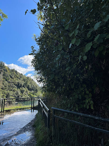 istock Huka Falls in New Zealand 2236336098