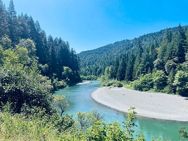istock Big River Mendocino Headlands State Park 2236336127