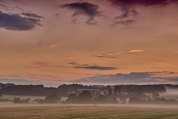 A peaceful scene captured during a Danish sunset, showcasing the countryside with serene fields, scattered trees, and a vibrant painted sky transitioning the day to night.