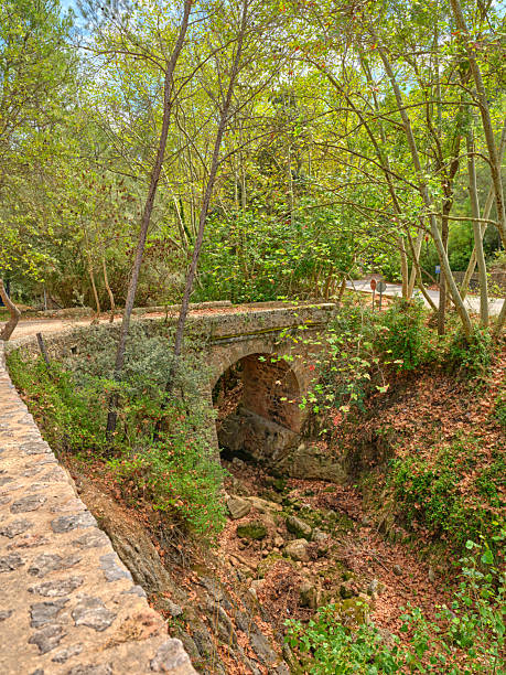 A charming stone bridge, surrounded by an expansive forest setting in Mallorca. The scene showcases vibrant foliage, a serene dry streambed, and a picturesque historical structure blending harmoniously with the natural landscape.