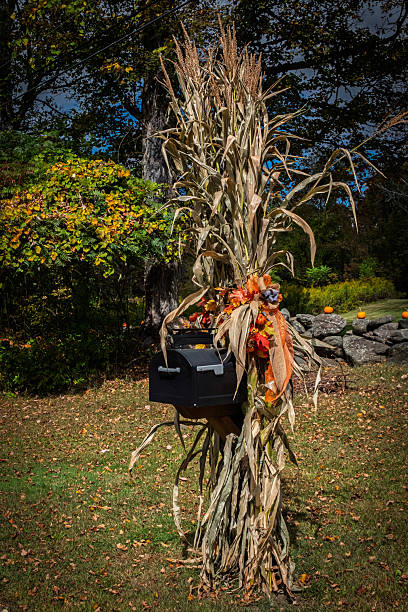 Rural mailbox wrapped in dried cornstalks and decorated with colorful autumn leaves, ribbon, and seasonal accents. Pumpkins and a stone wall appear in the background, creating a rustic outdoor harvest scene. Perfect for themes related to fall, Thanksgiving, Halloween, and countryside lifestyle.