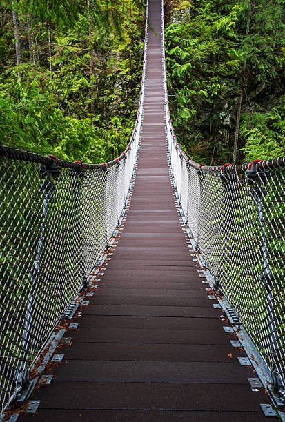 istock Lynn Canyon Suspension Bridge Vancouver BC 2236342225