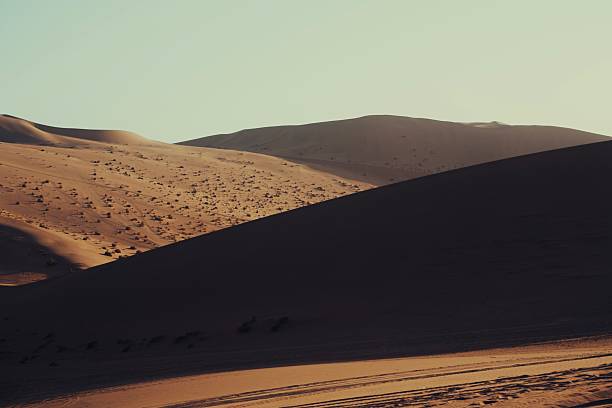 Enhance your projects with this mesmerizing image of undulating golden-brown sand dunes cast in deep shadows, dotted with sparse vegetation and subtle tracks, against a serene pale blue sky transitioning to dusk. The tranquil yet mysterious desert scene evokes solitude and adventure, ideal for travel promotions, environmental themes, nature documentaries, wellness visuals, or inspirational designs capturing the raw elegance of arid wilderness and dramatic light play!