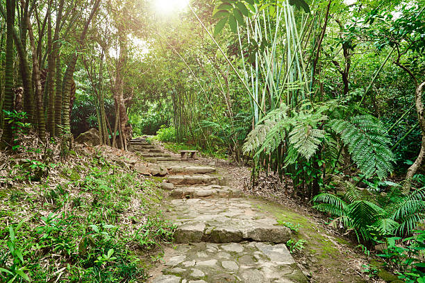 Closeup old stone steps in the park, background with copy space, full frame horizontal composition