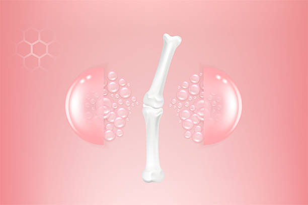 istock Bone and joint solutions ad, pink collagen with cosmetic advertising background ready to use, illustration vector. 2236360115