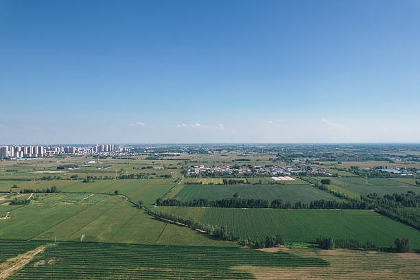 Aerial view of large corn fields in Henan Province, China