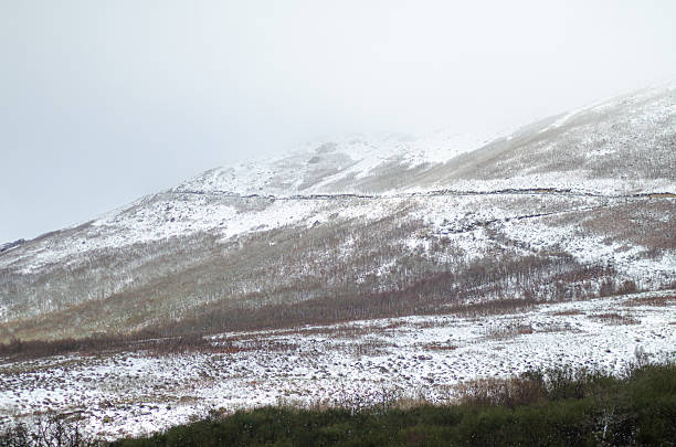 istock Natural Textures of Snow and Vegetation on a Slope 2236369405